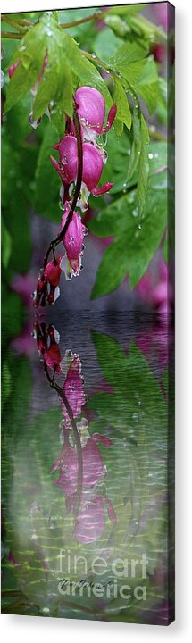 Flowers Acrylic Print featuring the photograph Reflection on the water puddle by Yumi Johnson