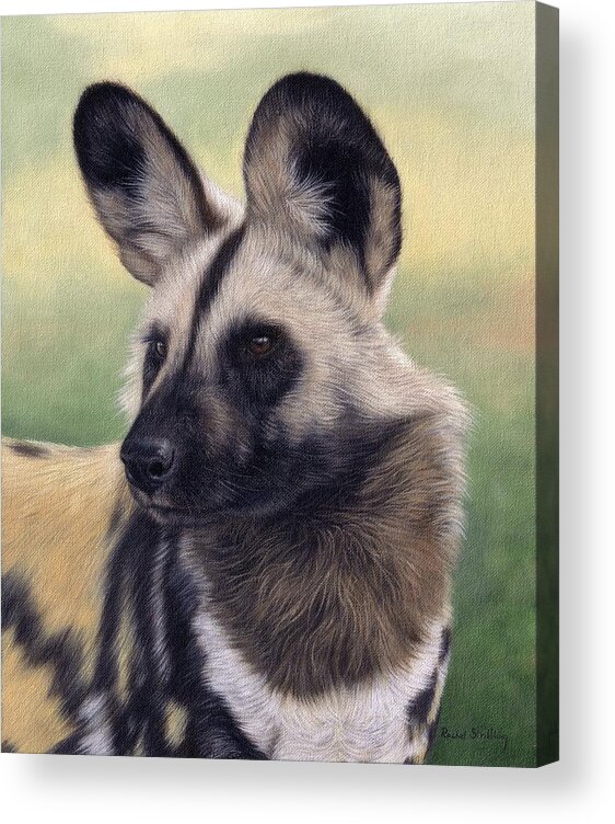 Wild Dog Acrylic Print featuring the painting African Wild Dog Painting #1 by Rachel Stribbling