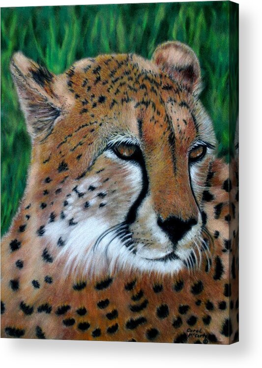 Children's Rooms Acrylic Print featuring the painting Cheetah #1 by Carol McCarty