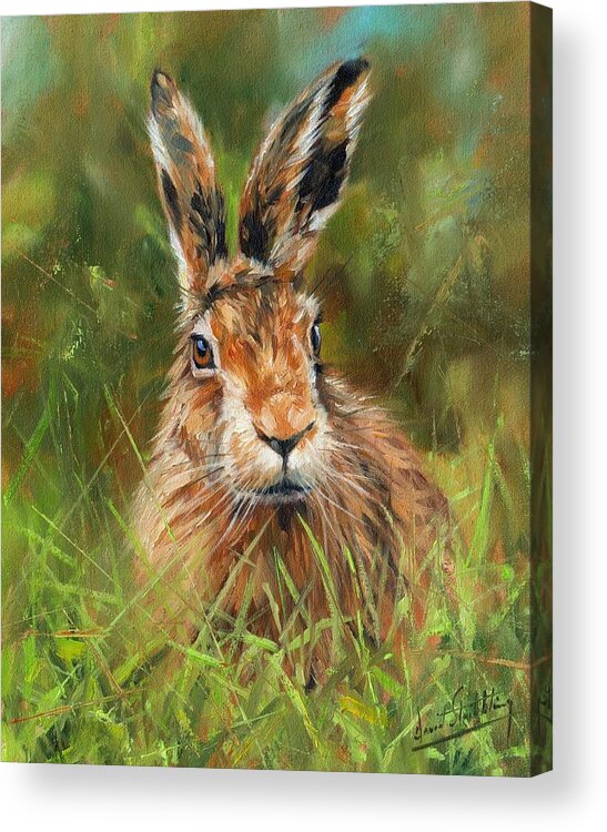 Animals Acrylic Print featuring the painting hARE #1 by David Stribbling