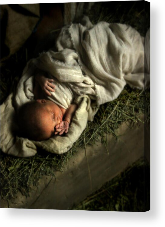 Baby Acrylic Print featuring the photograph Humble Beginnings #1 by Helen Thomas Robson