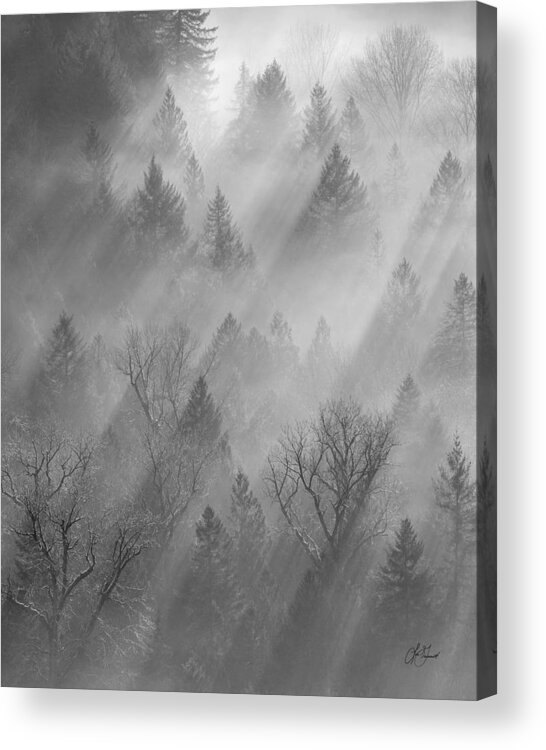 Morning Acrylic Print featuring the photograph Morning Light -vertical #1 by Lori Grimmett