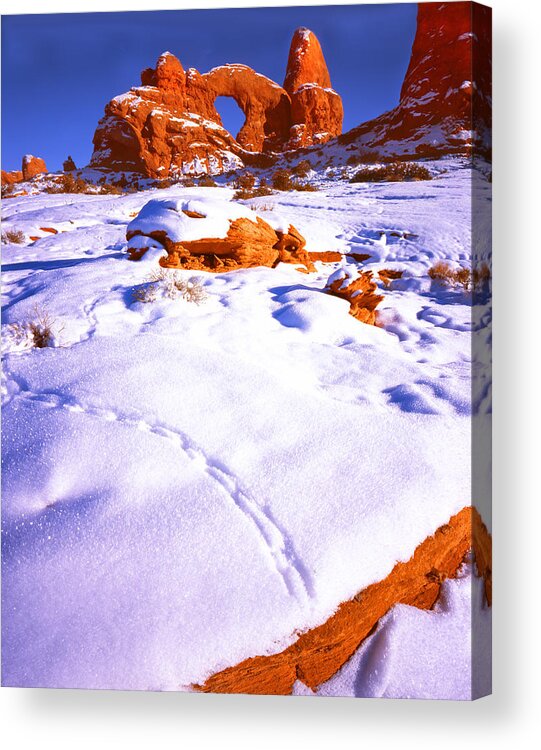 Turret Arch Acrylic Print featuring the photograph Turret Arch Tracks by Ray Mathis