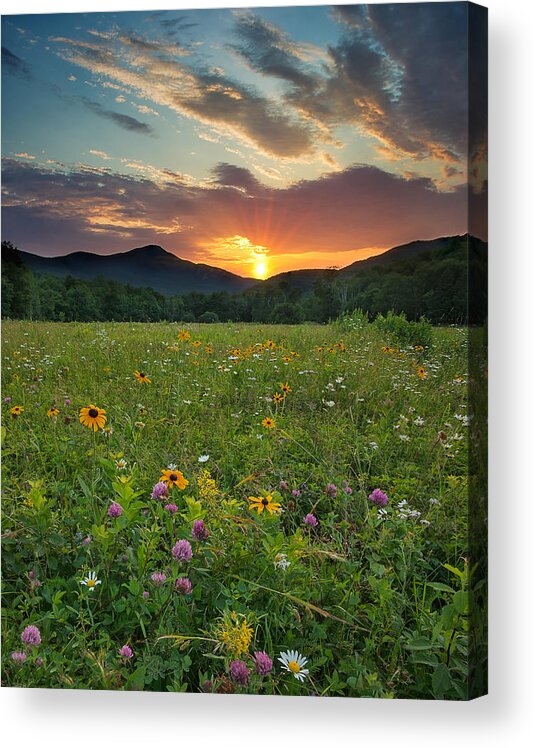 Landscape Acrylic Print featuring the photograph Wildflower Sunset #1 by Darylann Leonard Photography
