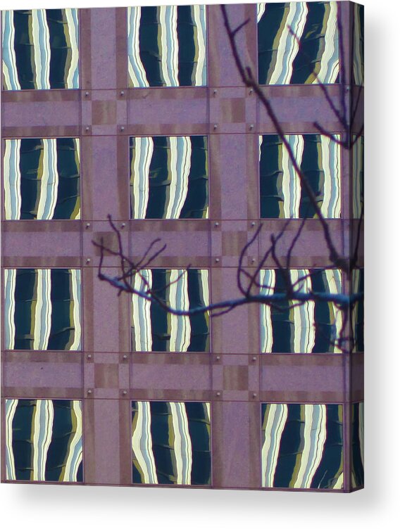 Windows Acrylic Print featuring the photograph 12 Windows by Jessica Levant