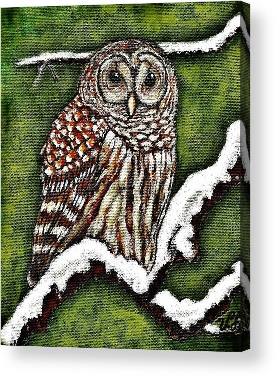Bird Acrylic Print featuring the painting Barred Owl by VLee Watson