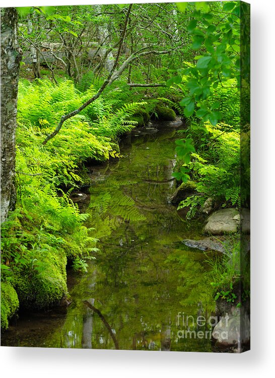 Green Acrylic Print featuring the photograph Glowing by Tamara Becker