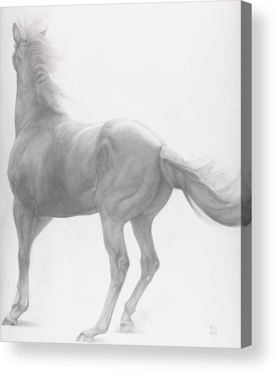 Horse Acrylic Print featuring the drawing Kicking Off by Emma Kennaway