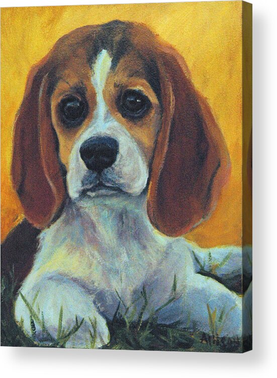 Portrait Acrylic Print featuring the painting Little Brown Eyes #2 by Stephanie Allison