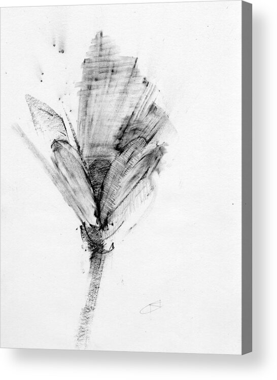 Drawing Acrylic Print featuring the drawing Untitled #358 by Chris N Rohrbach