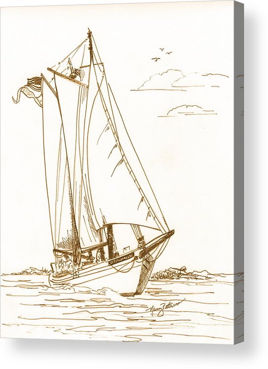 Aj Meerwald Acrylic Print featuring the drawing A Day On The Bay by Nancy Patterson