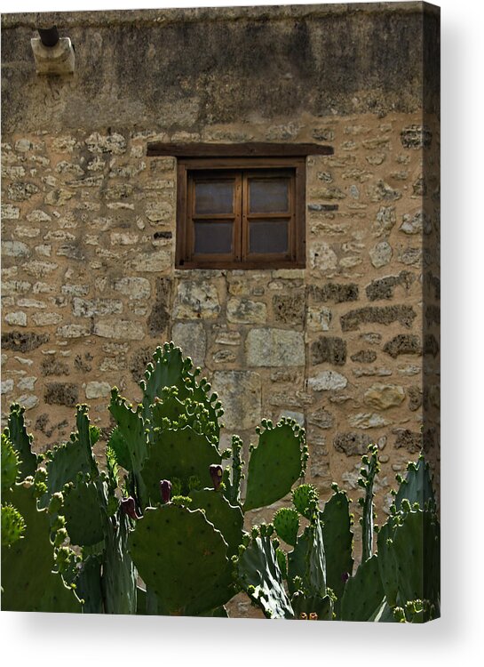 Alamo Window Acrylic Print featuring the photograph Alamo Window by Jemmy Archer