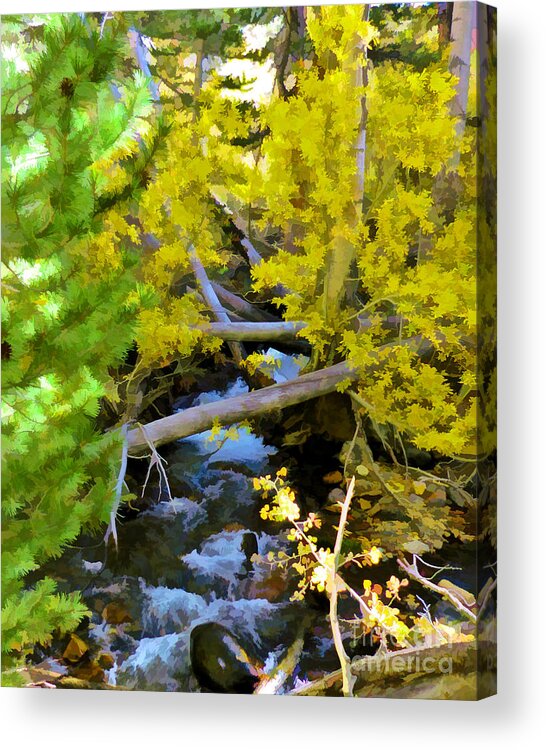 Stream Acrylic Print featuring the digital art Alpine Creek by L J Oakes