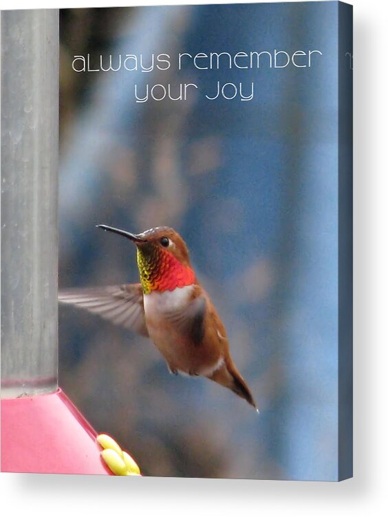 Hummingbirds Acrylic Print featuring the photograph Always Remember Your Joy by Rory Siegel