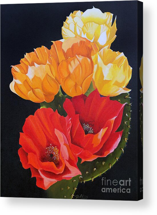 Still Life Acrylic Print featuring the painting Arizona Blossoms - Prickly Pear by Debbie Hart