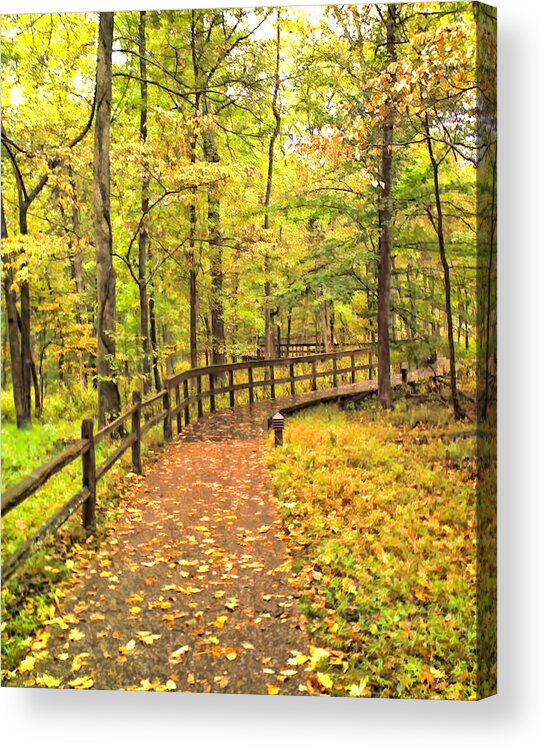 Autumn Boardwalk At Mammoth Cave National Park 2 Acrylic Print featuring the photograph Autumn Boardwalk at Mammoth Cave National Park 2 by Greg Jackson