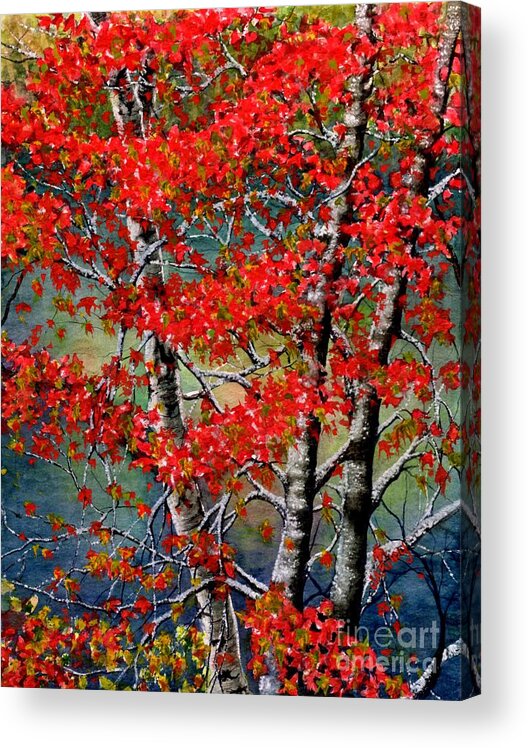 Birch Tree Acrylic Print featuring the painting Autumn Reflections by Janine Riley