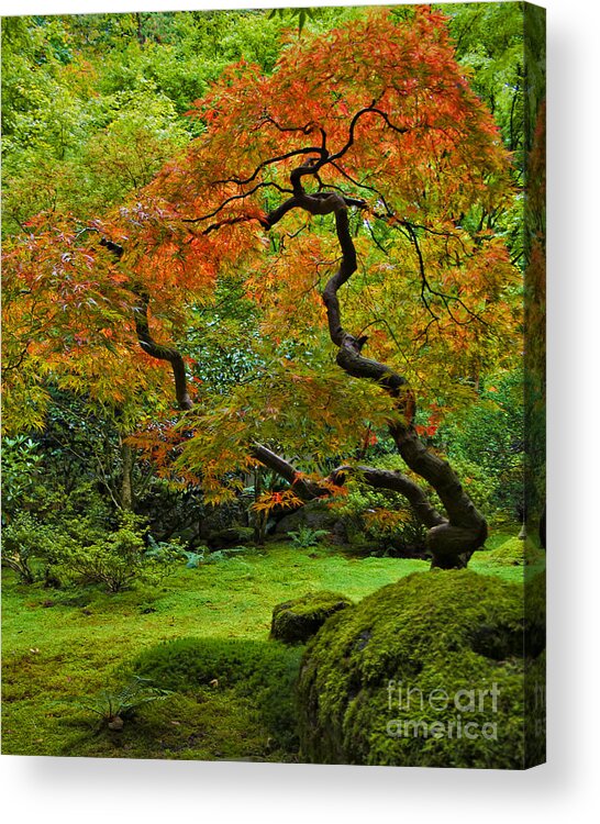 Japanese Acrylic Print featuring the photograph Autumn's Paintbrush by Jean Hildebrant