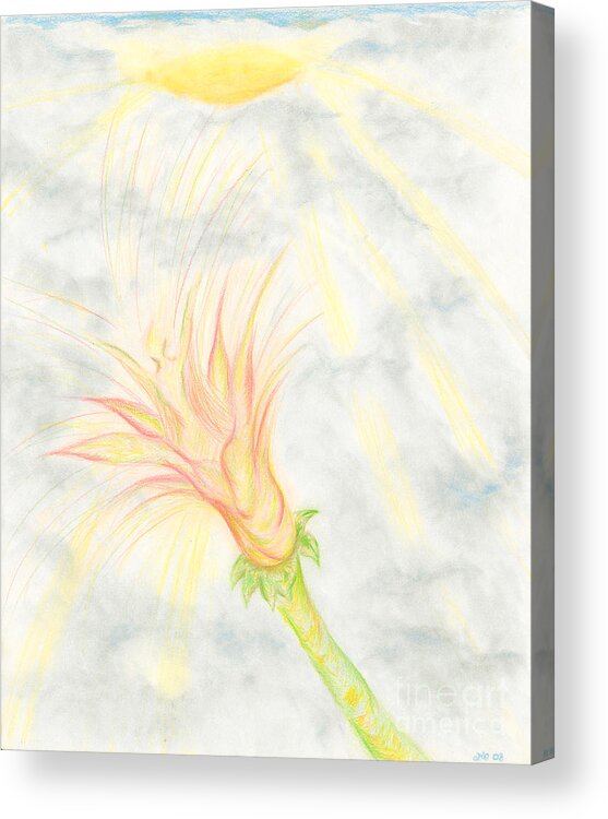 Color Acrylic Print featuring the drawing Awakening by Kim Sy Ok