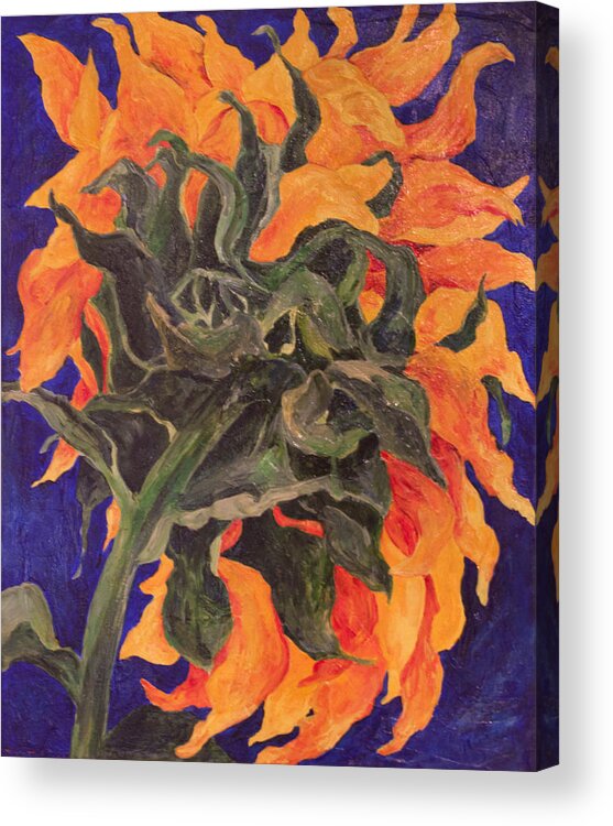 Sunflower Acrylic Print featuring the painting Back of Sunflower by Sally Quillin