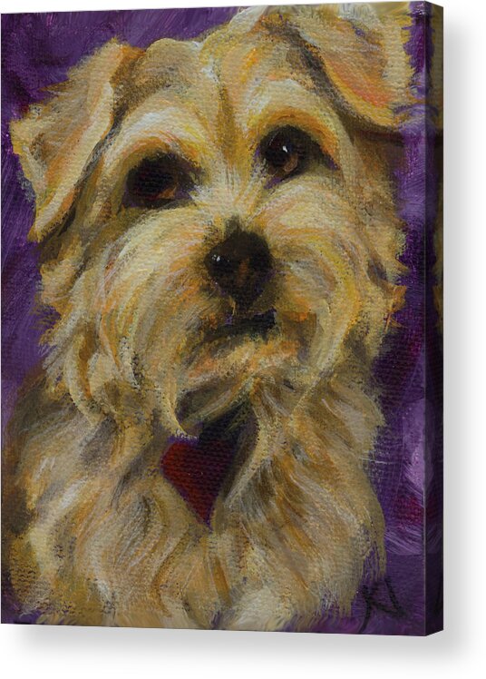 Pets Acrylic Print featuring the painting Bear by Kathleen Irvine