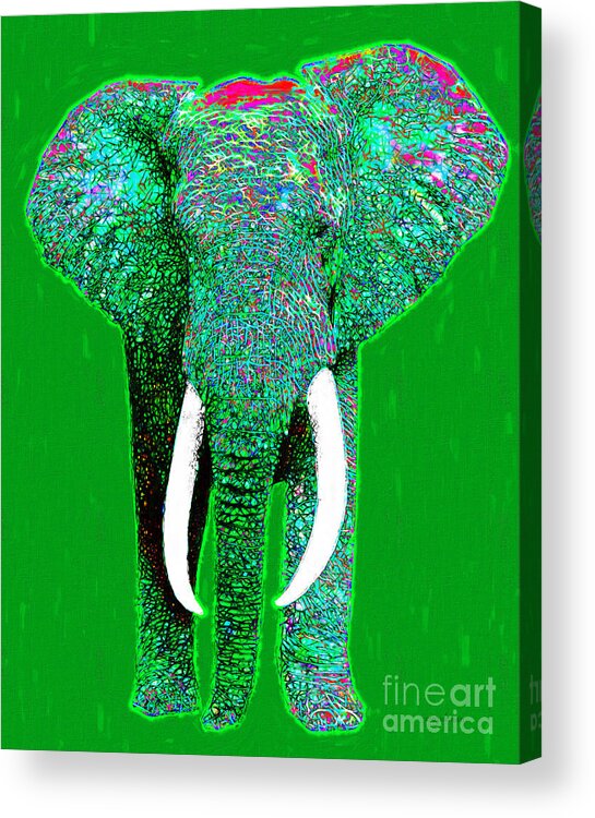 Elephant Acrylic Print featuring the photograph Big Elephant 20130201p128 by Wingsdomain Art and Photography