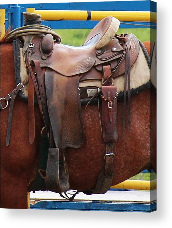 Saddle Acrylic Print featuring the photograph Broke In by Ann E Robson
