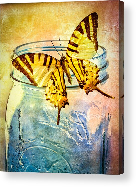 Blue Glass Acrylic Print featuring the photograph Butterfly Blue Glass Jar by Bob Orsillo