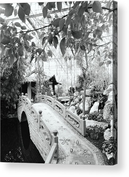 Somerville Acrylic Print featuring the photograph Chinese Garden by Tom Leonard