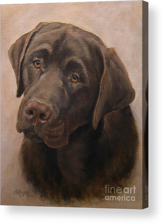 Dog Acrylic Print featuring the painting Chocolate Labrador Retriever Portrait by Amy Reges