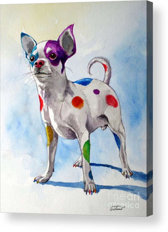 Chihuahua Acrylic Print featuring the painting Colorful Dalmatian Chihuahua by Christopher Shellhammer