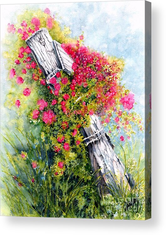 Roses Acrylic Print featuring the painting Country Roses white fence by Janine Riley