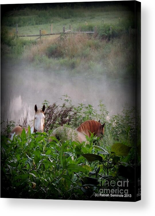 Horses Acrylic Print featuring the photograph Cowboy and Pheonix at Blue Horse Rescue by Rabiah Seminole