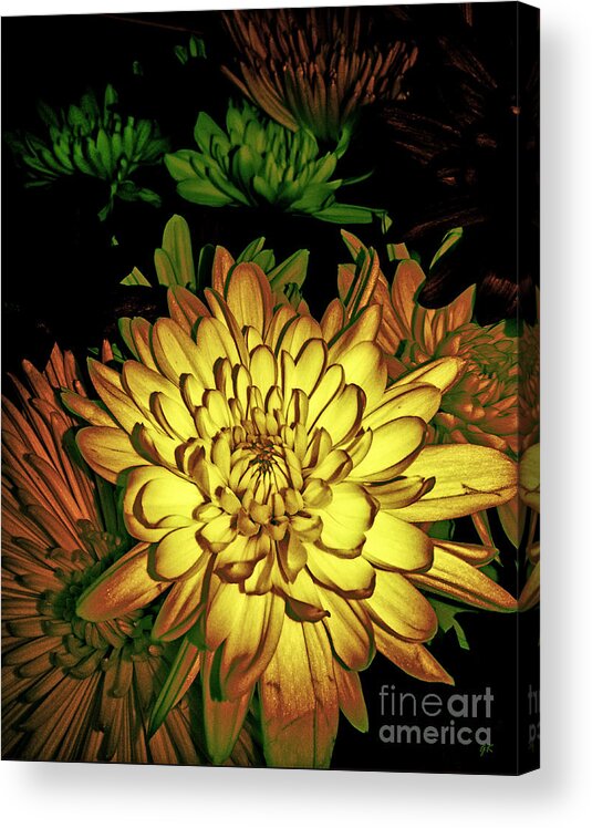 Floral Acrylic Print featuring the photograph Creme de la Creme by Gerlinde Keating