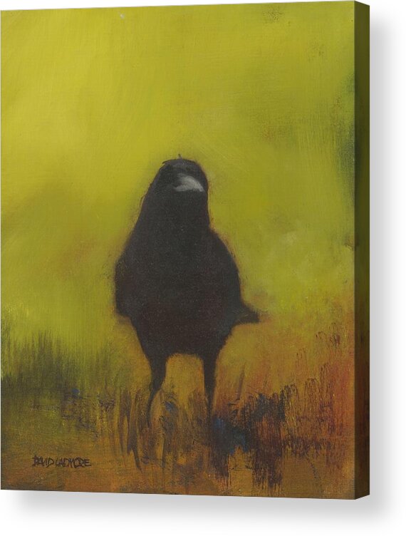 Crow Acrylic Print featuring the painting Crow 13 by David Ladmore