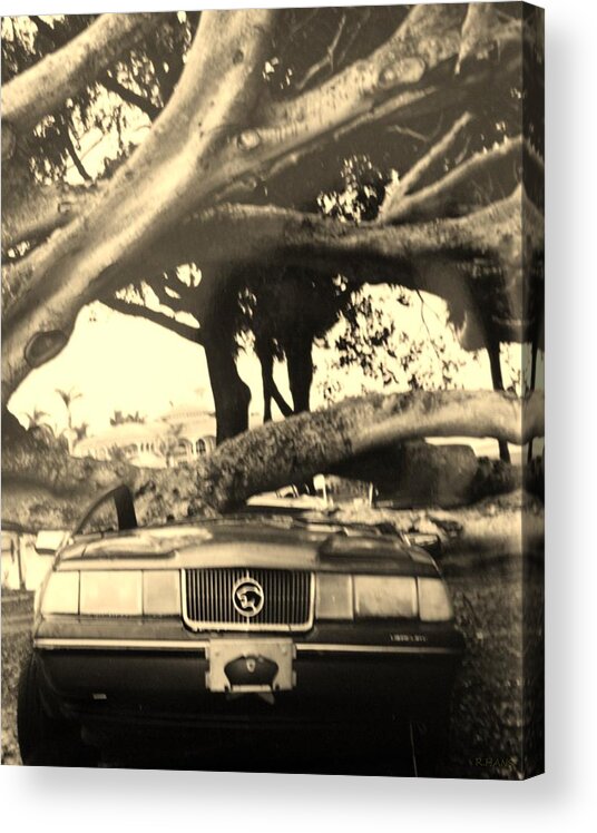 Cars Acrylic Print featuring the photograph Crushed Merc by Rob Hans