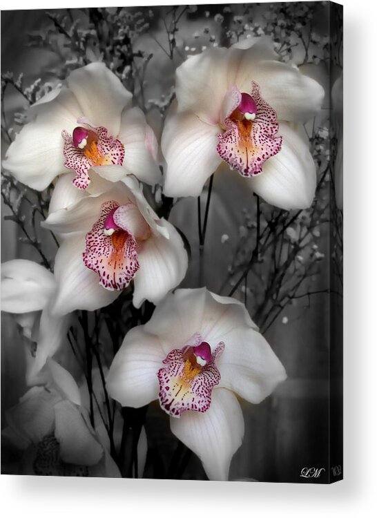 Flowers Acrylic Print featuring the photograph Cymbidium Orchid White I Still Life Flower Art Poster by Lily Malor