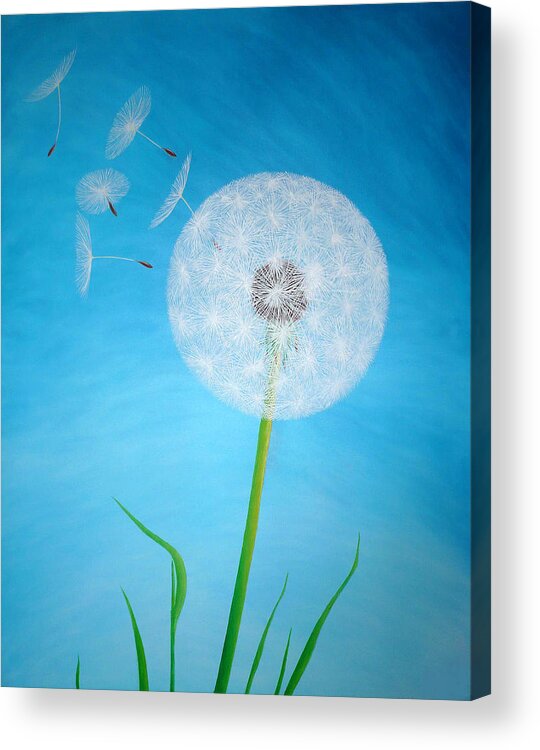 Dandelion Acrylic Print featuring the painting Dandelion in the summer by Sven Nawrocki