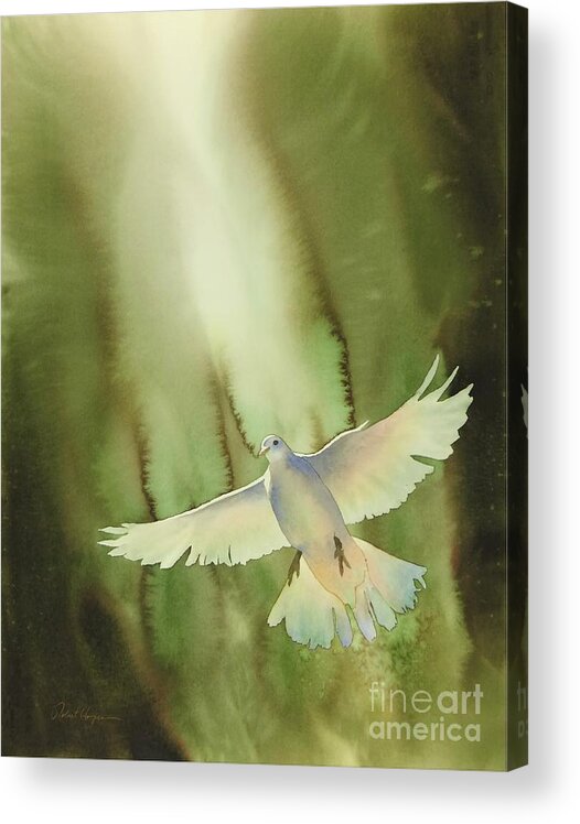 Dove Acrylic Print featuring the painting Descent by Robert Hooper