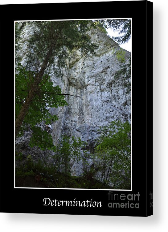 Rock Climbing Acrylic Print featuring the photograph Determination by Kirt Tisdale