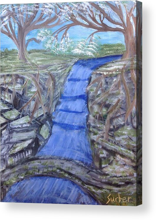 Falls Acrylic Print featuring the painting Doggie Woods by Suzanne Surber