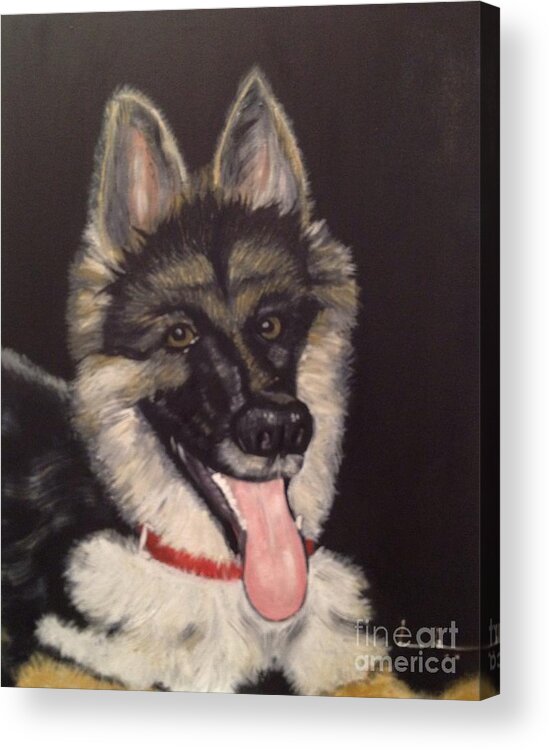 Dog Acrylic Print featuring the painting Dogs are human's best friends by Brindha Naveen