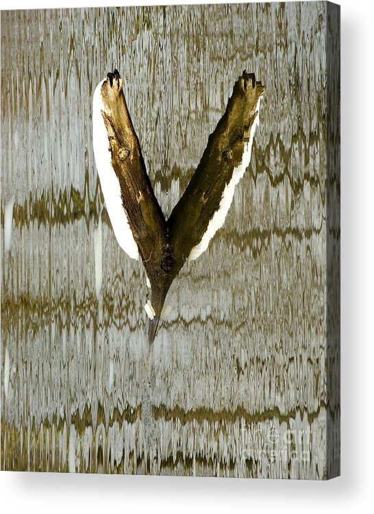 Abstract Acrylic Print featuring the photograph Eagle Wings by Marcia Lee Jones