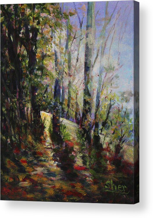 Oil Acrylic Print featuring the painting Enchanted forest by Sher Nasser
