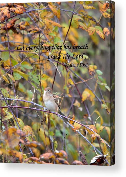 Bird Acrylic Print featuring the photograph Everything That Has Breath by Deena Stoddard