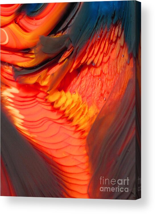 Glass Art Acrylic Print featuring the photograph Feathers and Scales by Kimberly Lyon