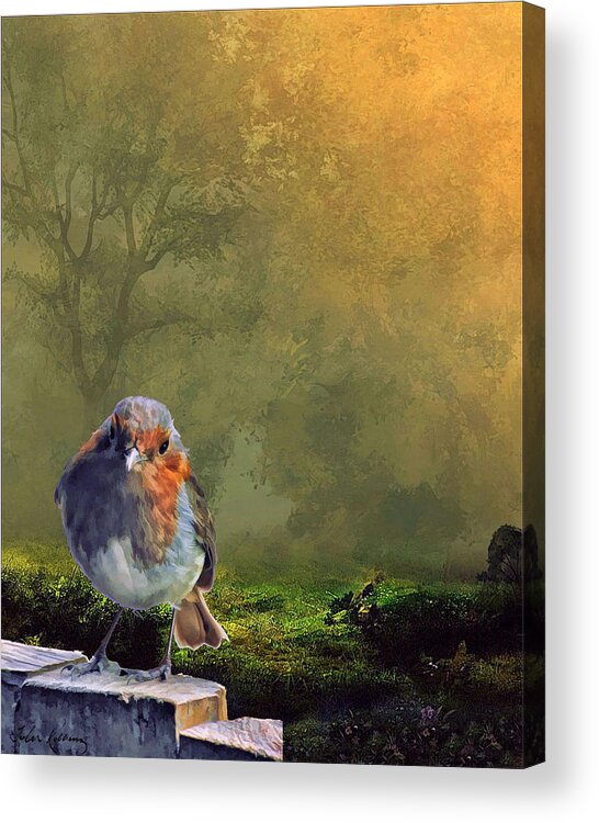 Bird Acrylic Print featuring the painting Fence Sitting by Tyler Robbins