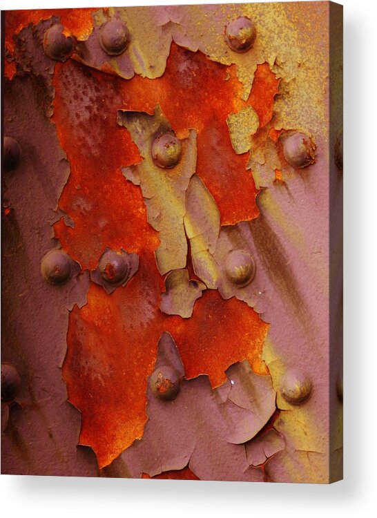 Rust Photographs Acrylic Print featuring the photograph Flowering of Rust by Charles Lucas