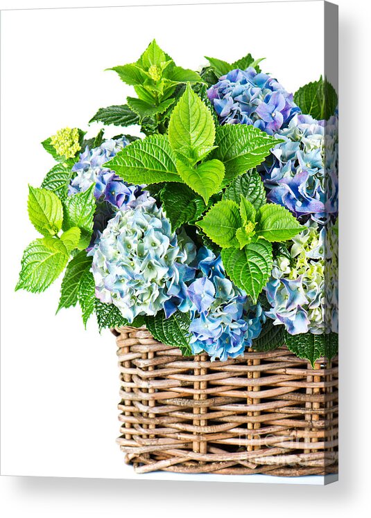 Flowers In Basket Acrylic Print featuring the photograph Flowers in Basket by Boon Mee