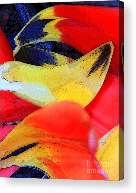 Color Acrylic Print featuring the photograph Flowing Colors 2 by Jeanette French